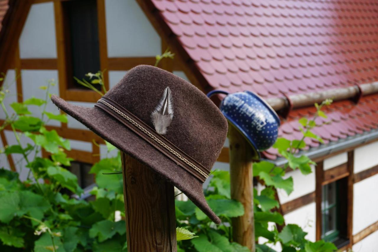 Hotel Balancehaus Kohren-Sahlis, Dein Kurhaus In Sachsen Exterior foto