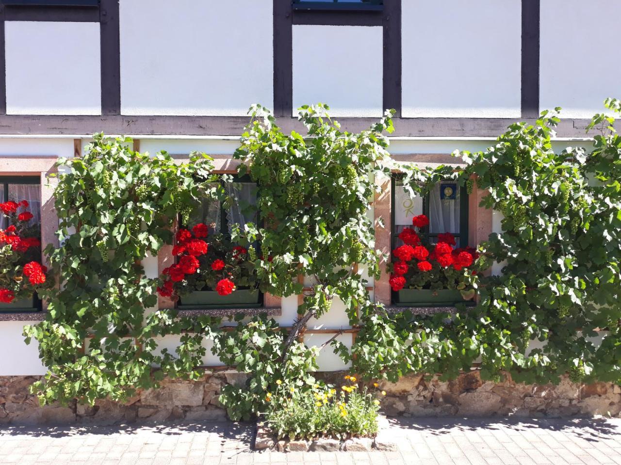 Hotel Balancehaus Kohren-Sahlis, Dein Kurhaus In Sachsen Exterior foto
